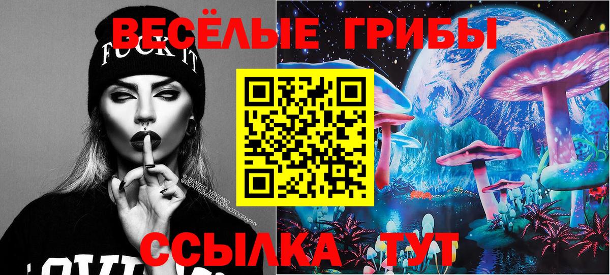 Псилоцибиновые грибы прущие грибы Топки