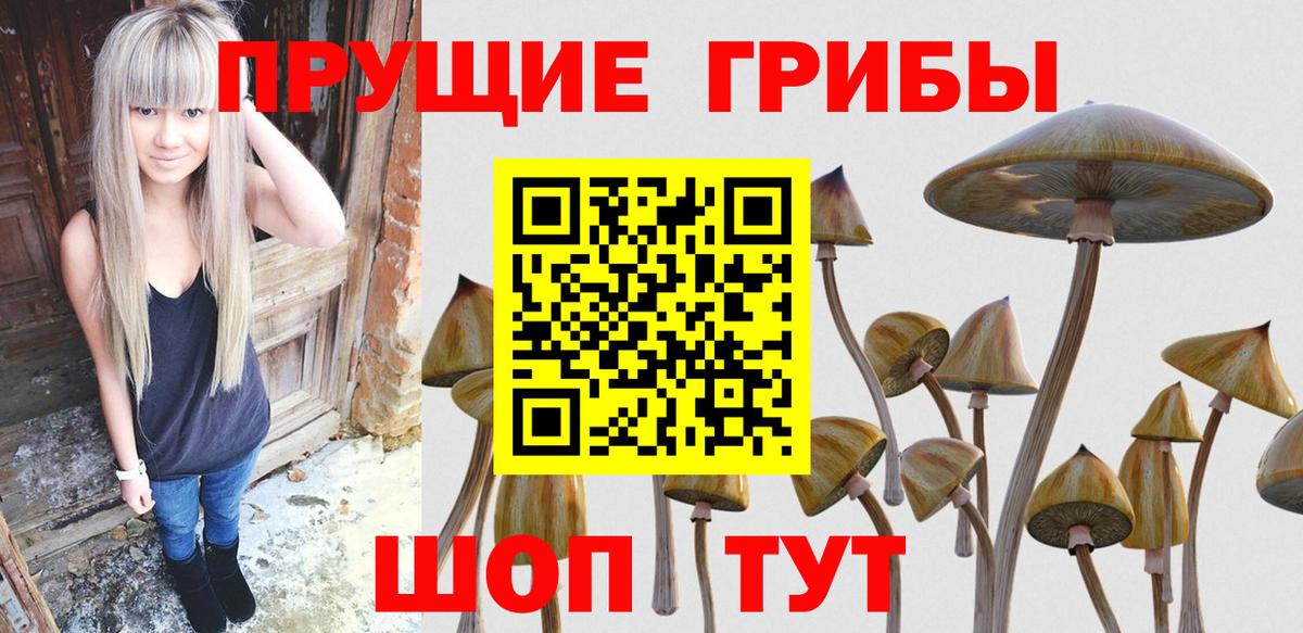 Псилоцибиновые грибы мицелий  Вход с VPN  Топки 
